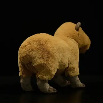 22 cm Yüksek Gerçekçi Kapibara Doldurulmuş Hayvanlar Oyuncaklar Gerçek Hayat Sevimli Kapibara peluş oyuncak Doğum Günü Yılbaşı Hediyeleri Çocuklar İçin