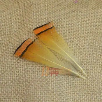 MNFT 50 ADET Gerçek Doğal Altın Sülün Atkı Tüy Doğal Fly Bağlama Malzemesi Sinek Balıkçılık Lures Toptan