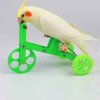 Evrensel Kuş Oyuncak Taşınabilir Zarif Plastik Papağan Eğitim Bisiklet Oyuncak Kuş İnteraktif Oyuncak Renkli