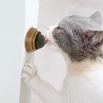 Temiz Dişler Doğal Kedi Catnip Duvar Topu Pet Yenilebilir Oyuncaklar Pet Malzemeleri